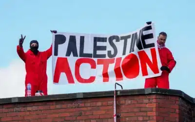 ANOTHER COURIER FIRM STOPS WORKING WITH ISRAEL’S WEAPONS TRADE